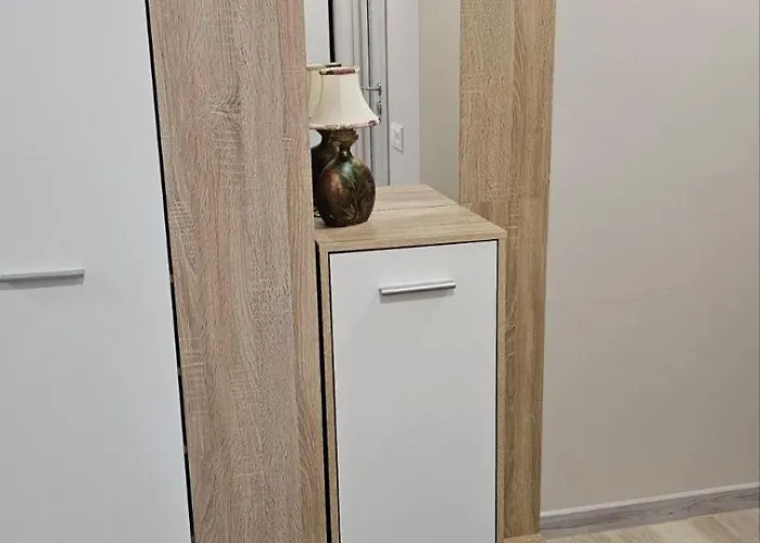 Kambariu Nuoma Kaune Taikos Pr *